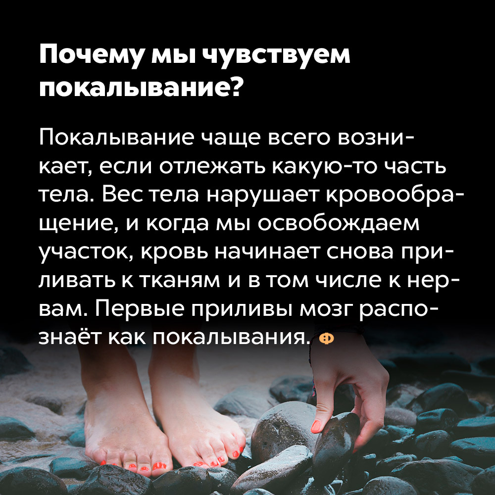 Почему мы чувствуем покалывание?. Покалывание чаще всего возникает, если отлежать какую-то часть тела. Вес тела нарушает кровообращение, и когда мы освобождаем участок, кровь начинает снова приливать к тканями и в том числе к нервам. Первые приливы мозг распознаёт как покалывания.