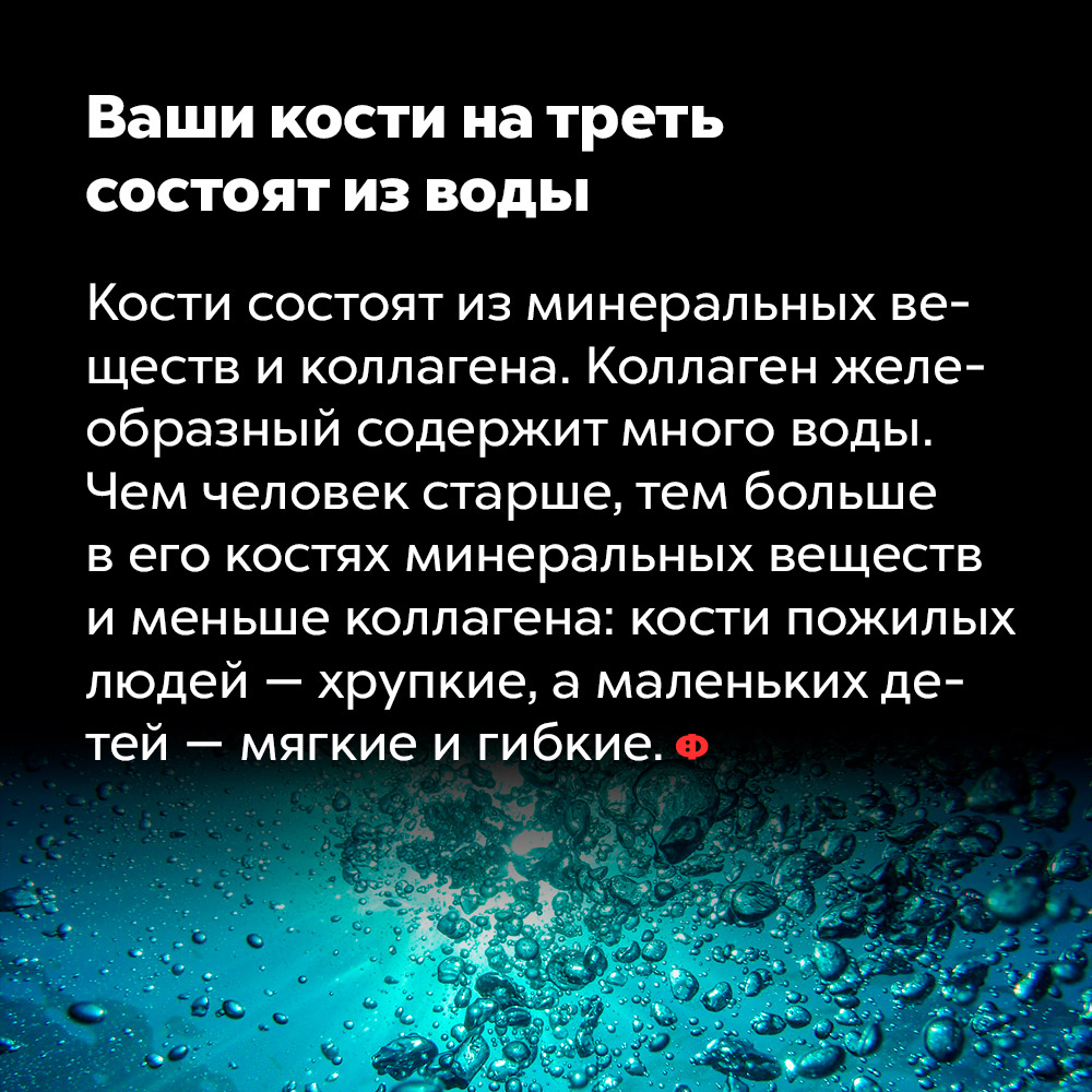 Ваши кости на треть состоят из воды