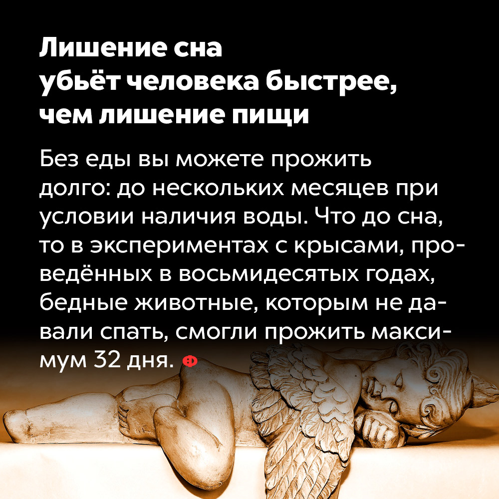 Лишение сна убьёт человека быстрее, чем лишение пищи. Без еды вы можете прожить долго: до нескольких месяцев при условии наличия воды. Что до сна, то в экспериментах с крысами, проведённых в восьмидесятых годах, бедные животные, которым не давали спать, смогли прожить максимум 32 дня.