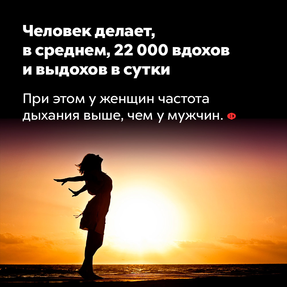 Человек делает, в среднем, 22 000 вдохов и выдохов в сутки. При этом у женщин частота дыхания выше, чем у мужчин.