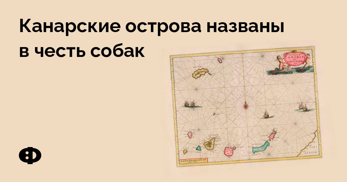 Канарские острова названы в честь собак