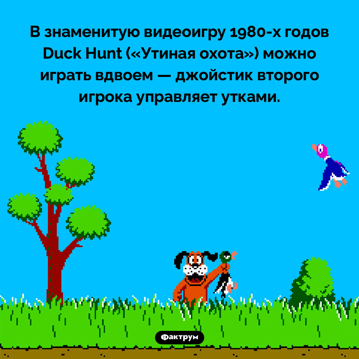 Игра Duck Hunt на двоих. Второй контроллер управляет движением уток.В знаменитую видеоигру 1980-х годов Duck Hunt («Утиная охота») можно играть вдвоем — джойстик второго игрока управляет утками.