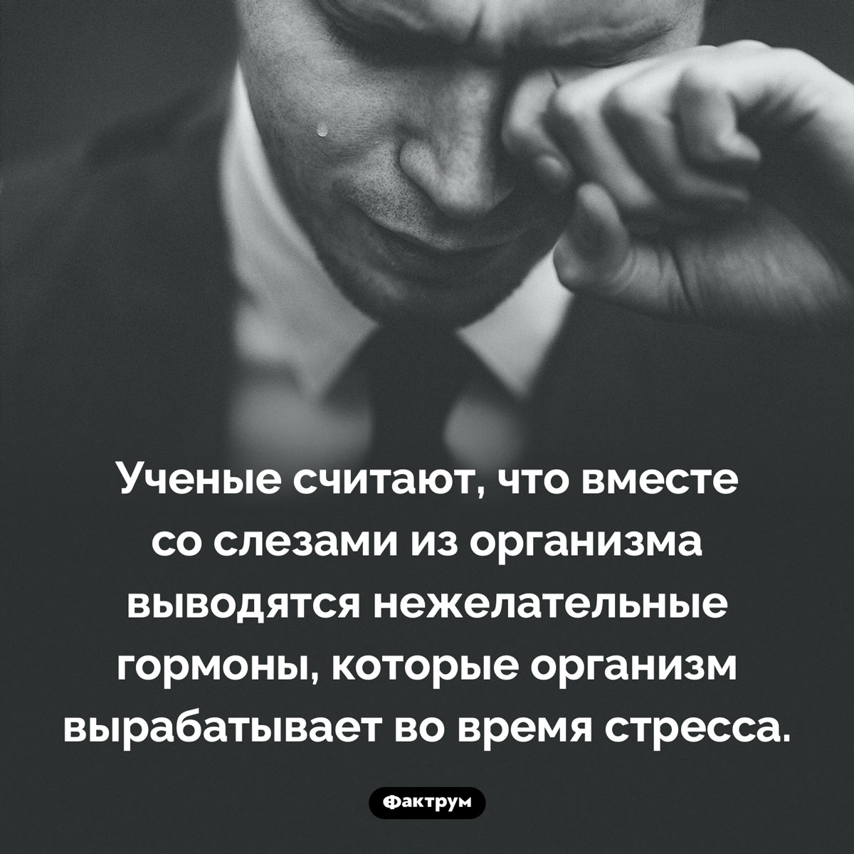 Еще одна причина, почему мы плачем. Ученые считают, что вместе со слезами из организма выводятся нежелательные гормоны, которые организм вырабатывает во время стресса.