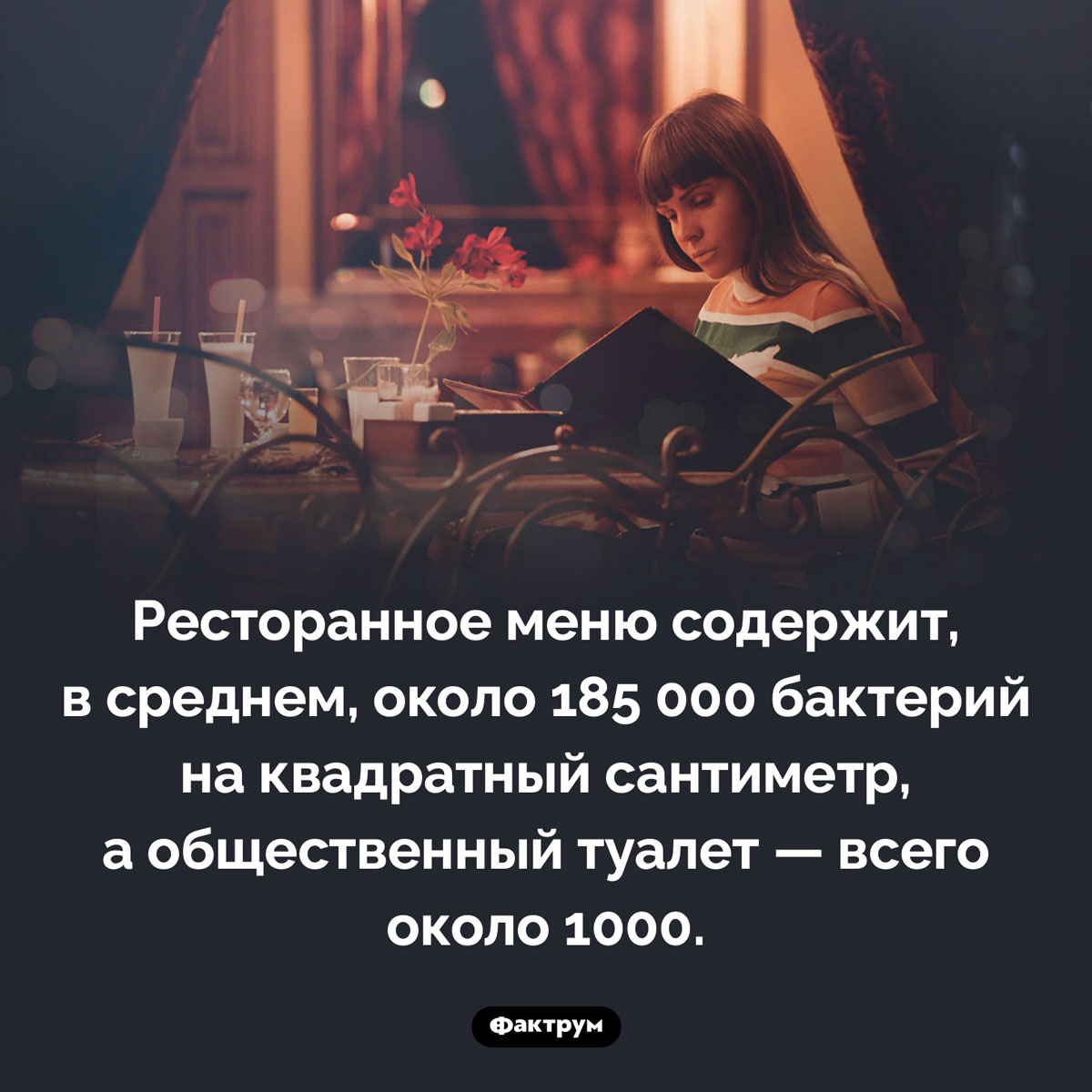 Меню в ресторане кишит микробами. Ресторанное меню содержит, в среднем, около 185 000 бактерий на квадратный сантиметр, а общественный туалет — всего около 1000.