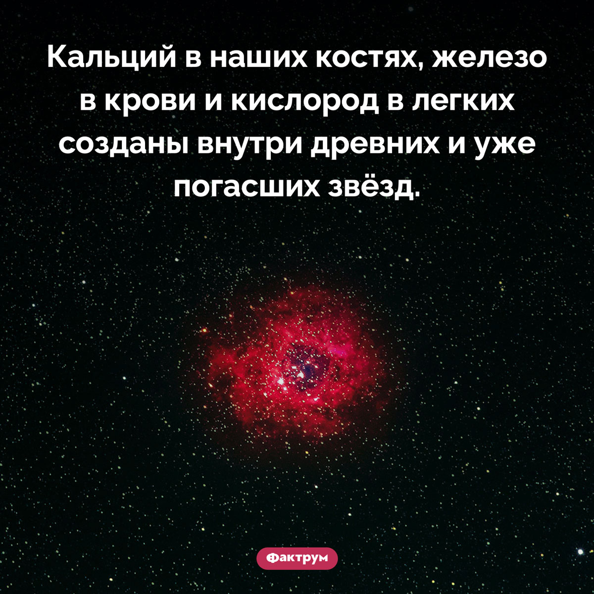 «Мы сотворены из звездной пыли» — Карл Саган. Кальций в наших костях, железо в крови и кислород в легких созданы внутри древних и уже погасших звёзд.