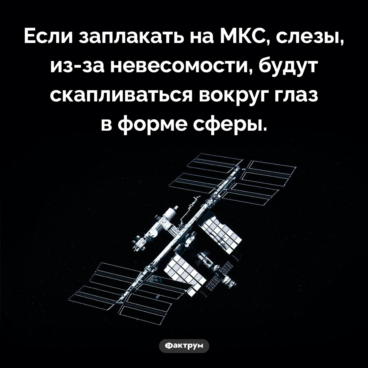 Плач на МКС. Если заплакать на МКС, слезы, из-за невесомости, будут скапливаться вокруг глаз в форме сферы.