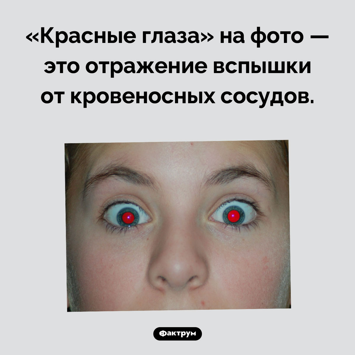 Почему на фото возникают «красные глаза». «Красные глаза» на фото — это отражение вспышки от кровеносных сосудов.