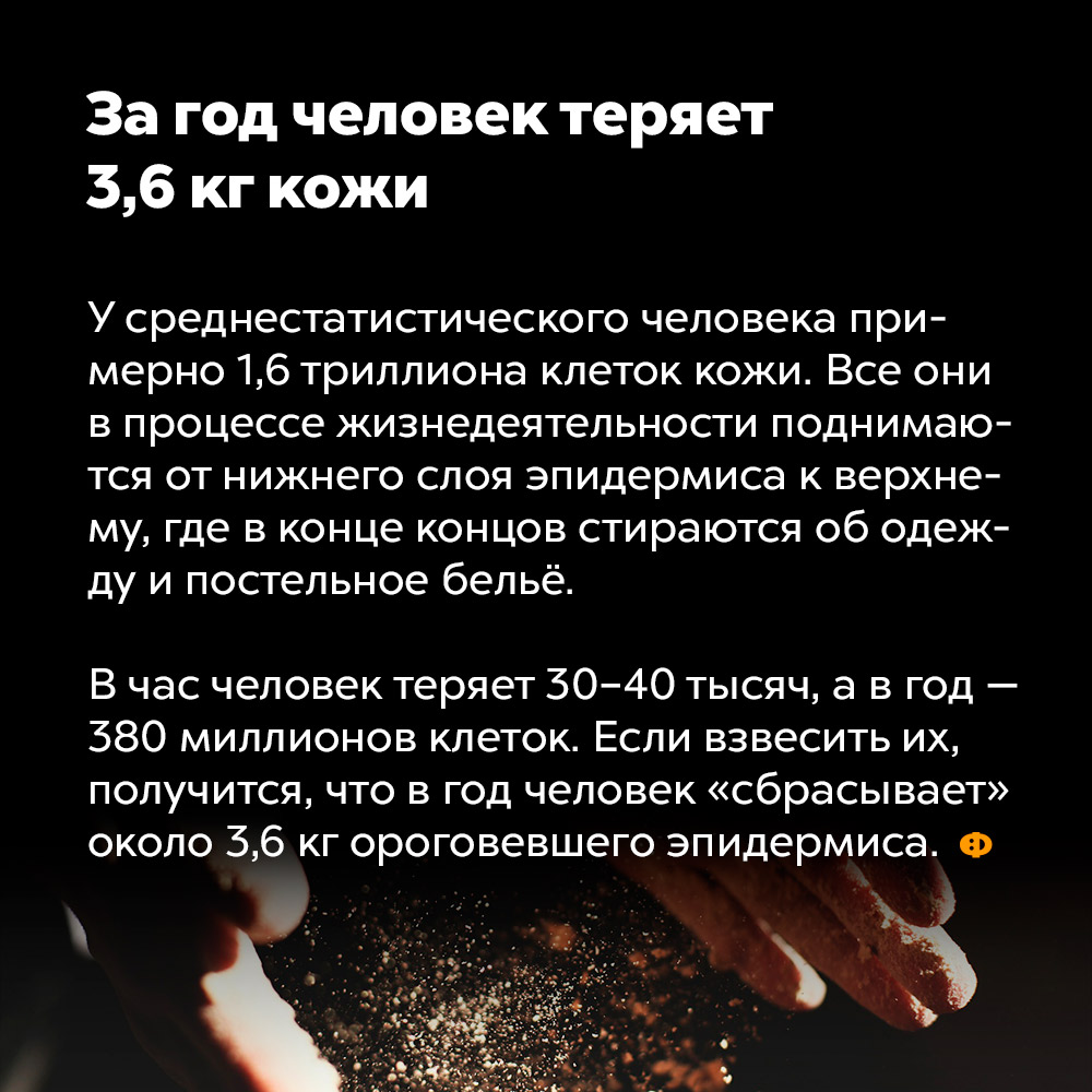 За год человек теряет 3,6 кг кожи. У среднестатистического человека примерно 1,6 триллиона клеток кожи. Все они в процессе жизнедеятельности поднимаются от нижнего слоя эпидермиса к верхнему, где в конце концов стираются об одежду и постельное бельё.
В час человек теряет 30-40 тысяч, а в год — 380 миллионов клеток. Если взвесить их, получится, что в год человек «сбрасывает» около 3,6 кг ороговевшего эпидермиса.