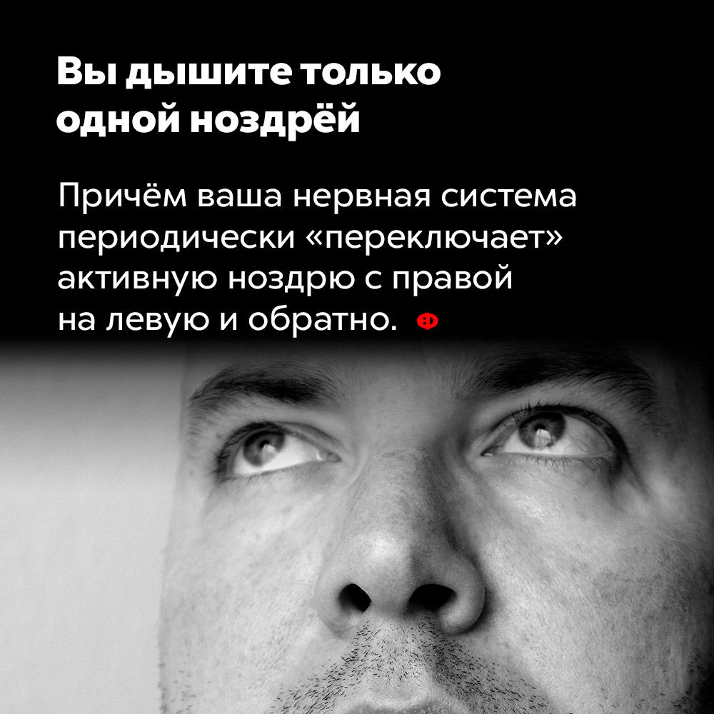 Вы дышите только одной ноздрёй. Причём ваша нервная система периодически «переключает» активную ноздрю с правой на левую и обратно.