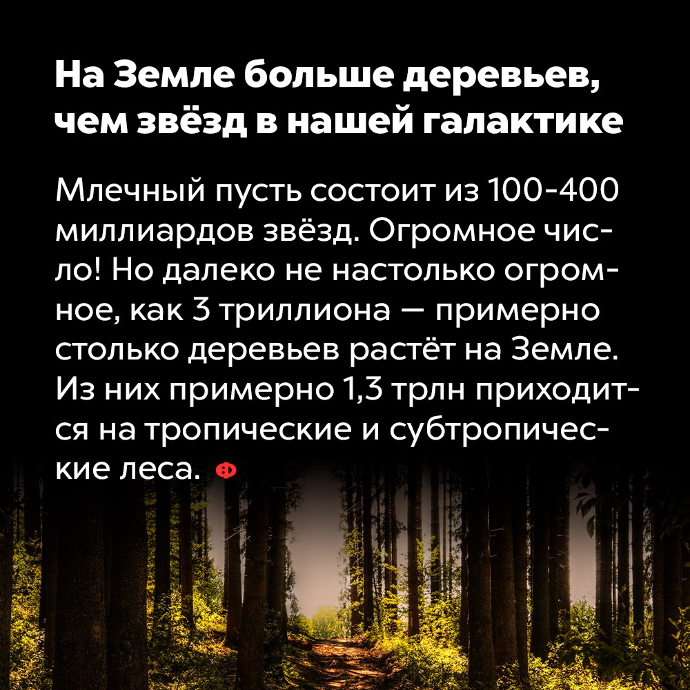 На Земле больше деревьев, чем звёзд в нашей галактике. Млечный путь состоит из 100-400 миллиардов звёзд. Огромное число! Но далеко не настолько огромное, как 3 триллиона — примерно столько деревьев растёт на Земле. Из них примерно 1,3 трлн приходится на тропические и субтропические леса.