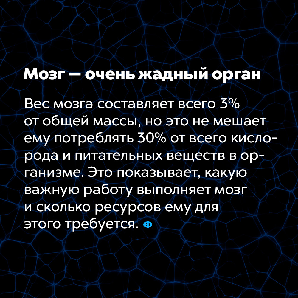 Мозг — очень жадный орган. Вес мозга составляет всего 3% от общей массы, но это не мешает ему потреблять 30% от всего кислорода и питательных веществ в организме. Это показывает, какую важную работу выполняет мозг и сколько ресурсов ему для этого требуется.