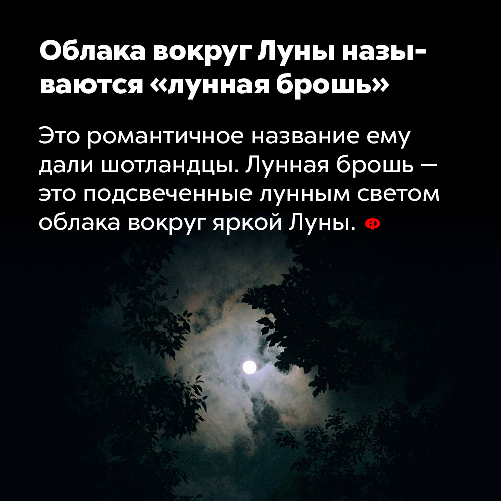 Облака вокруг Луны называются «лунная брошь». Это романтичное название придумали шотландцы. Лунная брошь — это подсвеченные лунным светом облака вокруг яркой Луны.