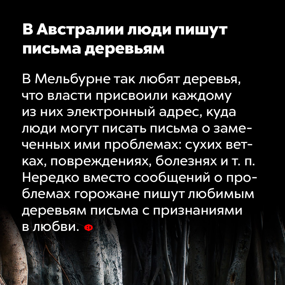 В Австралии люди пишут письма деревьям. В Мельбурне так любят деревья, что власти присвоили каждому из них электронный адрес, куда люди могут писать письма о замеченных ими проблемах: сухих ветках, повреждениях, болезнях и т. п. Нередко вместо сообщений о проблемах горожане пишут любимым деревьям письма с признаниями в любви.