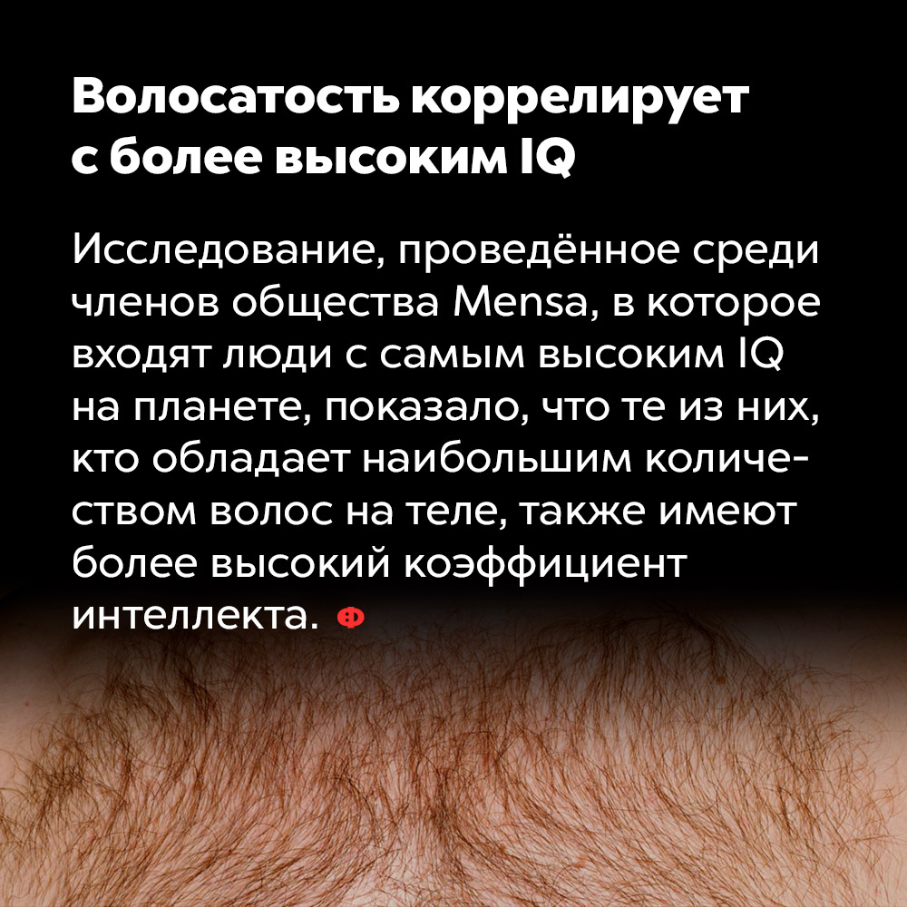 Презентация по психологии: 