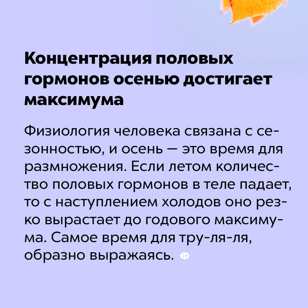 Концентрация половых гормонов осенью достигает максимума. Физиология человека связана с сезонностью и осень — это время для размножения. Если летом количество половых гормонов в теле падает, то с наступлением холодов оно резко вырастает до годового максимума. Самое время для тру-ля-ля, образно выражаясь.