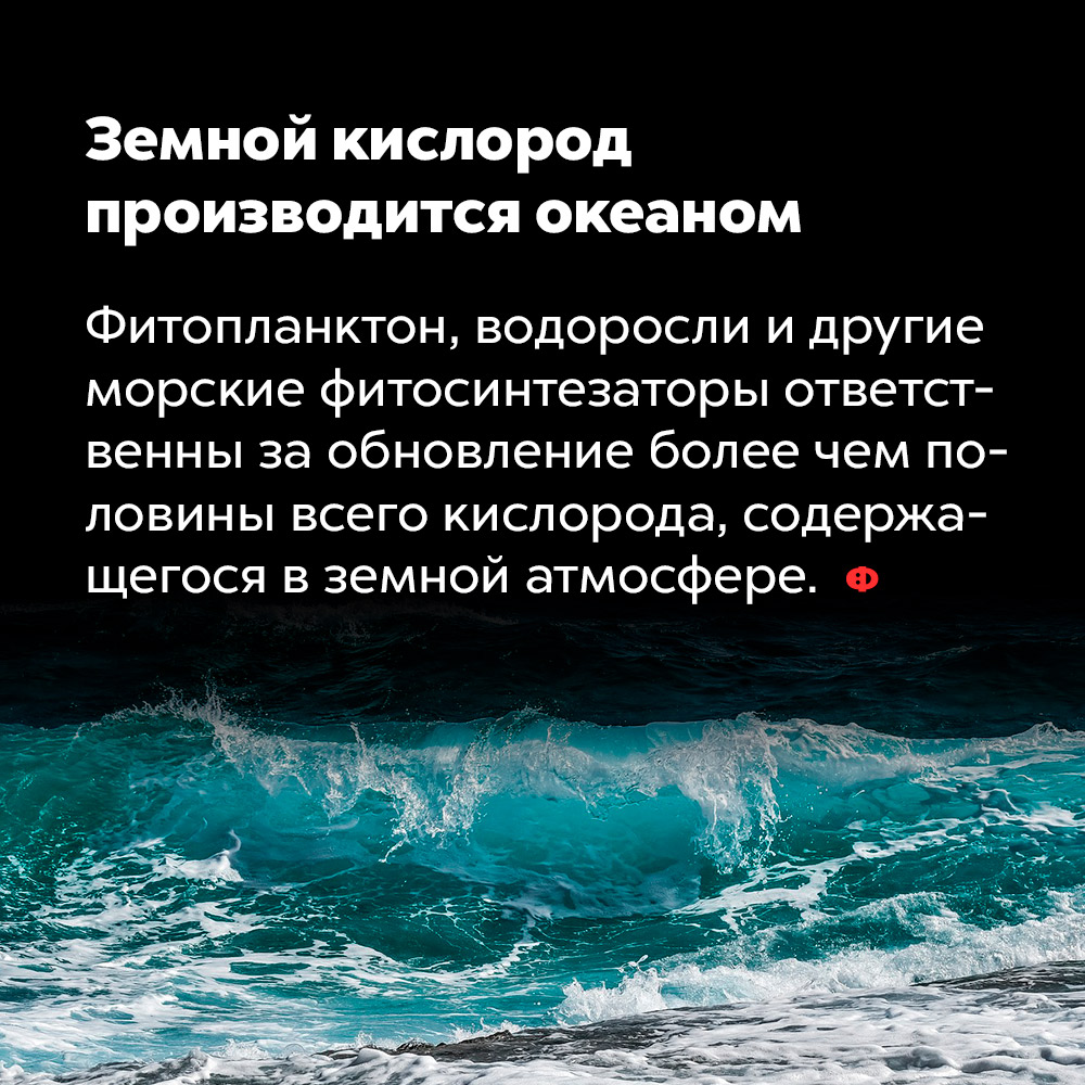 Земной кислород производится океаном. Фитопланктон, водоросли и другие морские фитосинтезаторы ответственны за обновление более чем половины всего кислорода, содержащегося в земной атмосфере.