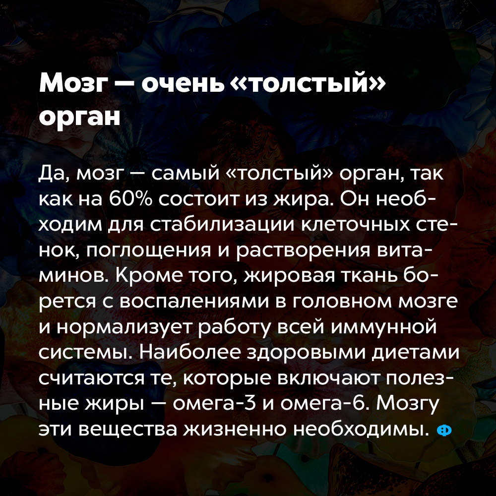 Мозг — очень «толстый» орган. Да, мозг — самый «толстый» орган, так как на 60% состоит из жира. Он необходим для стабилизации клеточных стенок, поглощения и растворения витаминов. Кроме того, жировая ткань борется с воспалениями в головном мозге и нормализует работу всей иммунной системы. Наиболее здоровыми диетами считаются те, которые включают полезные жиры — омега-3 и омега-6. Мозгу эти вещества жизненно необходимы.