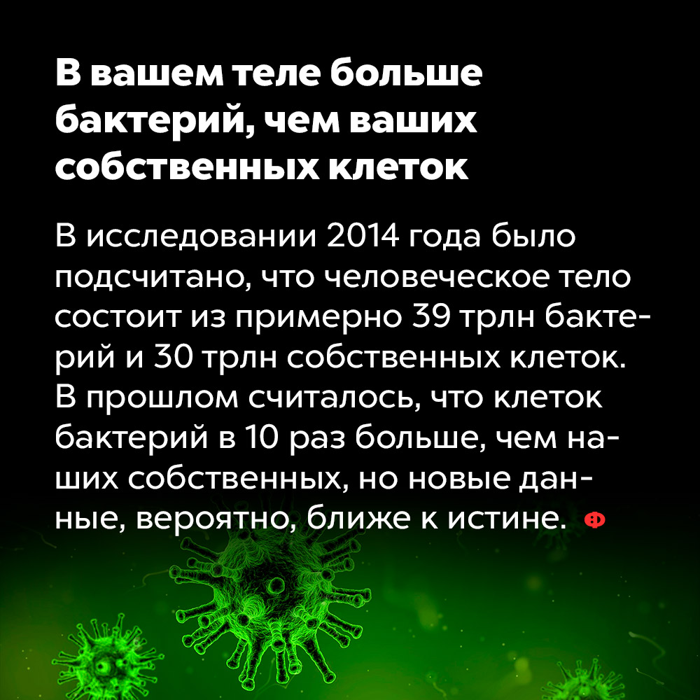 В вашем теле больше бактерий, чем ваших собственных клеток. В исследовании 2014 года было подсчитано, что человеческое тело состоит из примерно 39 трлн бактерий и 30 трлн собственных клеток. В прошлом считалось, что клеток бактерий в 10 раз больше, чем наших собственных, но новые данные, вероятно, ближе к истине.