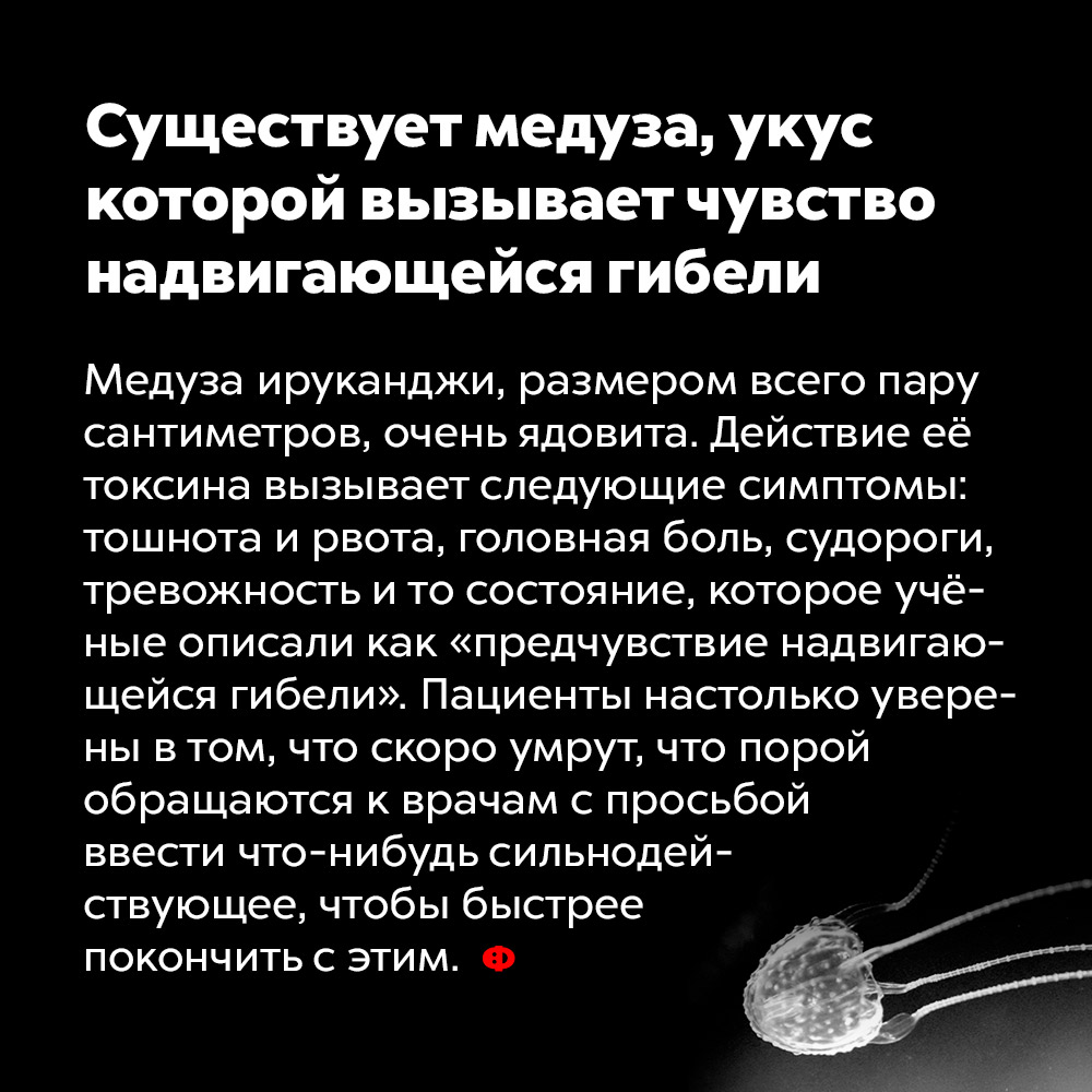 Существует медуза, укус которой вызывает чувство надвигающейся гибели. Медуза ируканджи, размером всего пару сантиметров, очень ядовита. Действие её токсина вызывает следующие симптомы: тошнота и рвота, головная боль, судороги, тревожность и то состояние, которое учёные описали как «предчувствие надвигающейся гибели». Пациенты настолько уверены в том, что скоро умрут, что порой обращаются к врачам с просьбой ввести что-нибудь сильнодействующее, чтобы быстрее покончить с этим.