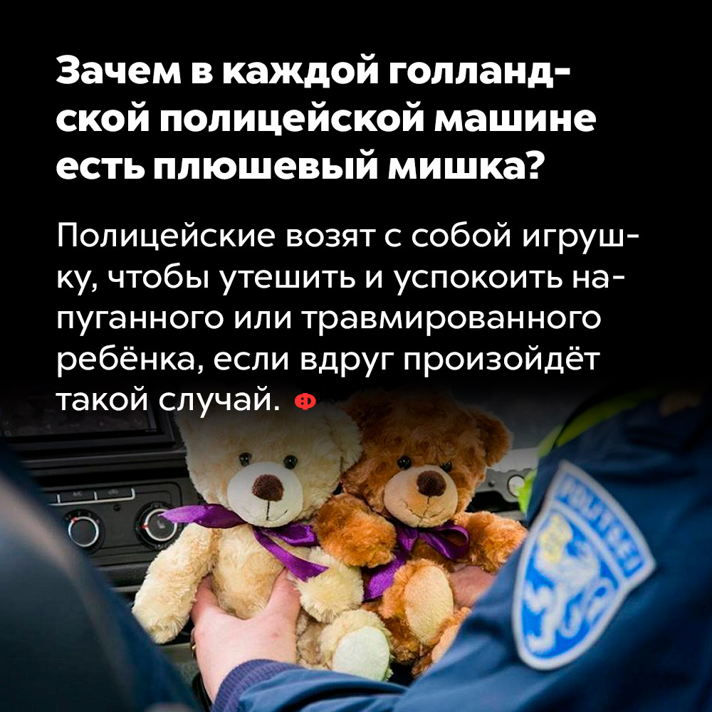 Зачем в каждой голландской полицейской машине есть плюшевый мишка. Полицейские возят с собой игрушку, чтобы утешить и успокоить напуганного или травмированного ребёнка, если вдруг произойдёт такой случай.