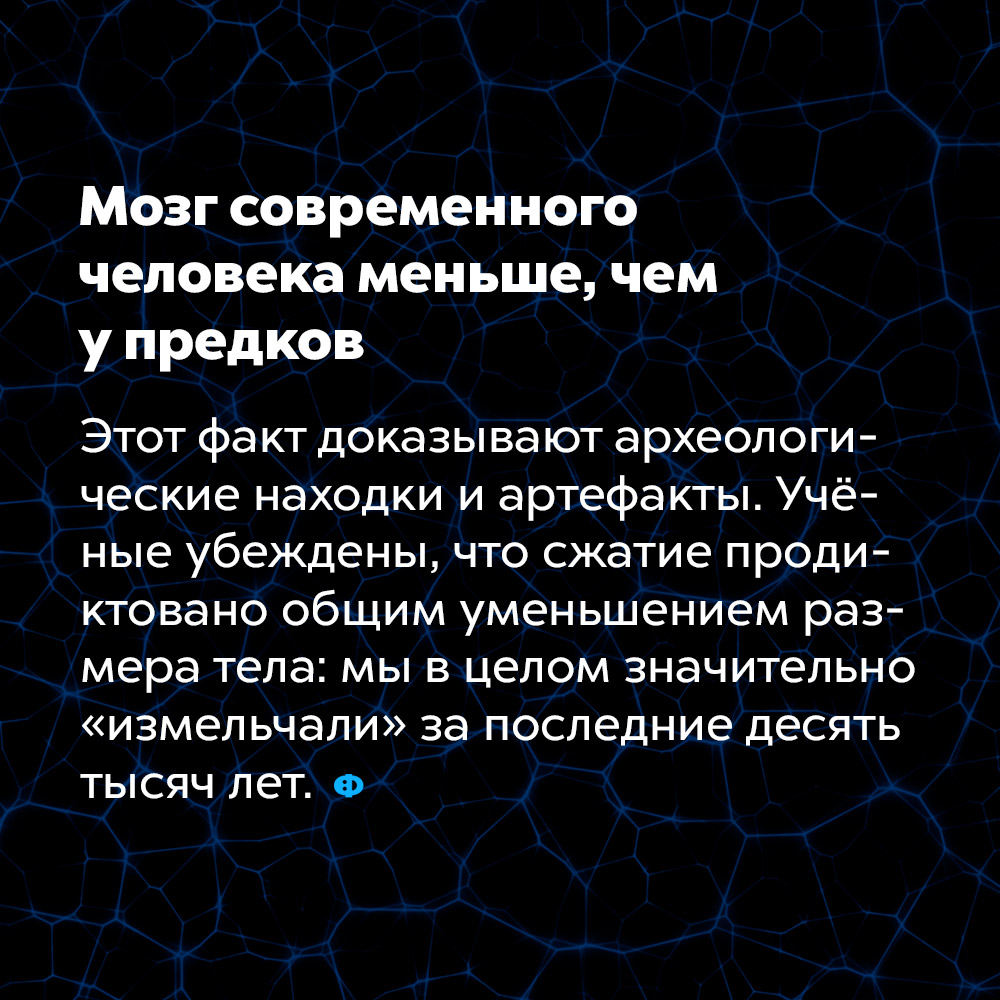 Мозг современного человека меньше, чем у предков. Этот факт доказывают археологические находки и артефакты. Учёные убеждены, что сжатие продиктовано общим уменьшением размера тела: мы в целом значительно «измельчали» за последние десять тысяч лет.