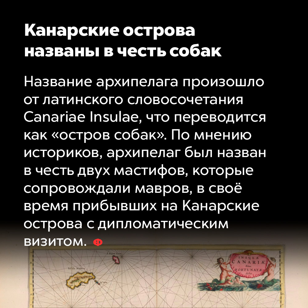 Канарские острова названы в честь собак. Название архипелага произошло от лионского словосочетания Canariae Insulae, что переводится как «остров собак». По мнению историков, архипелаг был назван в честь двух мастифов, которые сопровождали мавров, в своё время прибывших на Канарские острова с дипломатическим визитом.