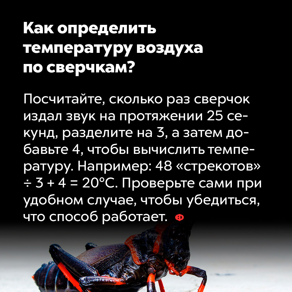 Как определить температуру воздуха по сверчкам?. Посчитайте, сколько раз сверчок издал звук на протяжении 25 секунд, разделите на 3, а затем добавьте 4, чтобы вычислить температуру. Например: 48 «стрекотов» разделить на три и прибавить четыре равно 20 градусам Цельсия. Проверьте сами при удобном случае, чтобы убедиться, что способ работает.