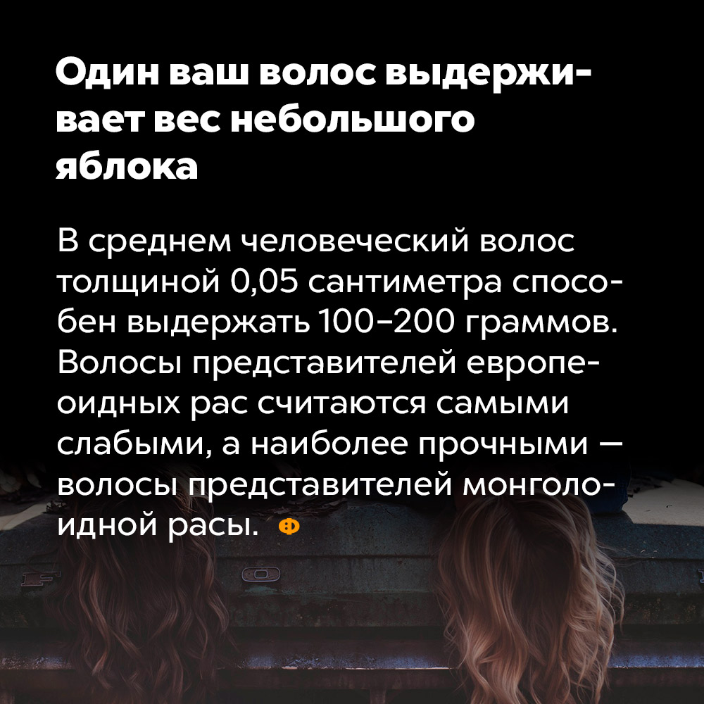 Один ваш волос выдерживает вес небольшого яблока. В среднем человеческий волос толщиной 0,05 сантиметра способен выдержать 100-200 граммов. Волосы представителей европеоидных рас считаются самыми слабыми, а наиболее прочными — волосы представителей моноголоидной расы.