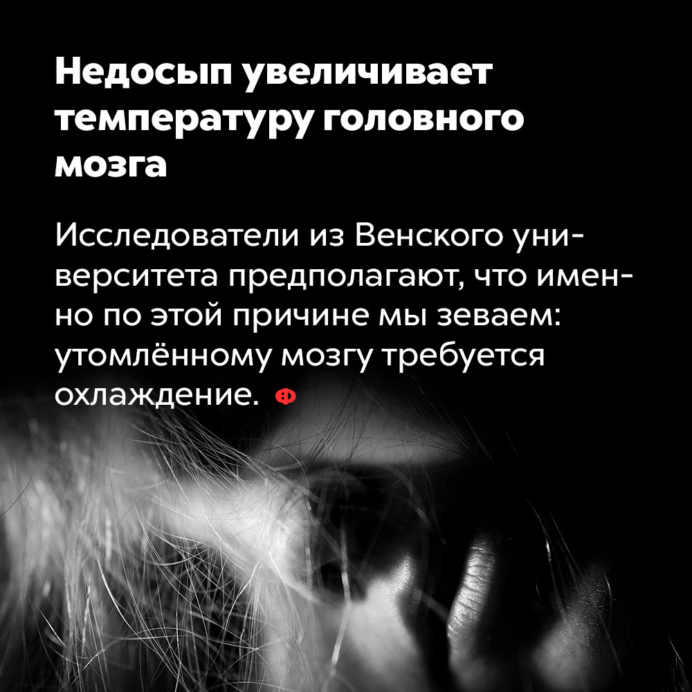 Недосып увеличивает температуру головного мозга. Исследователи из Венского университета предполагают, что именно по этой причине мы зеваем: утомлённому мозгу требуется охлаждение.