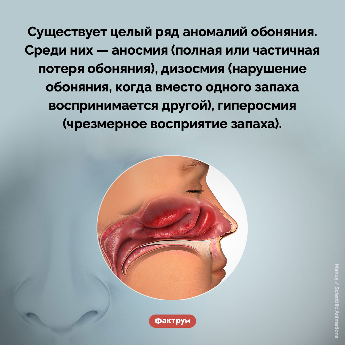 Аномалии обоняния