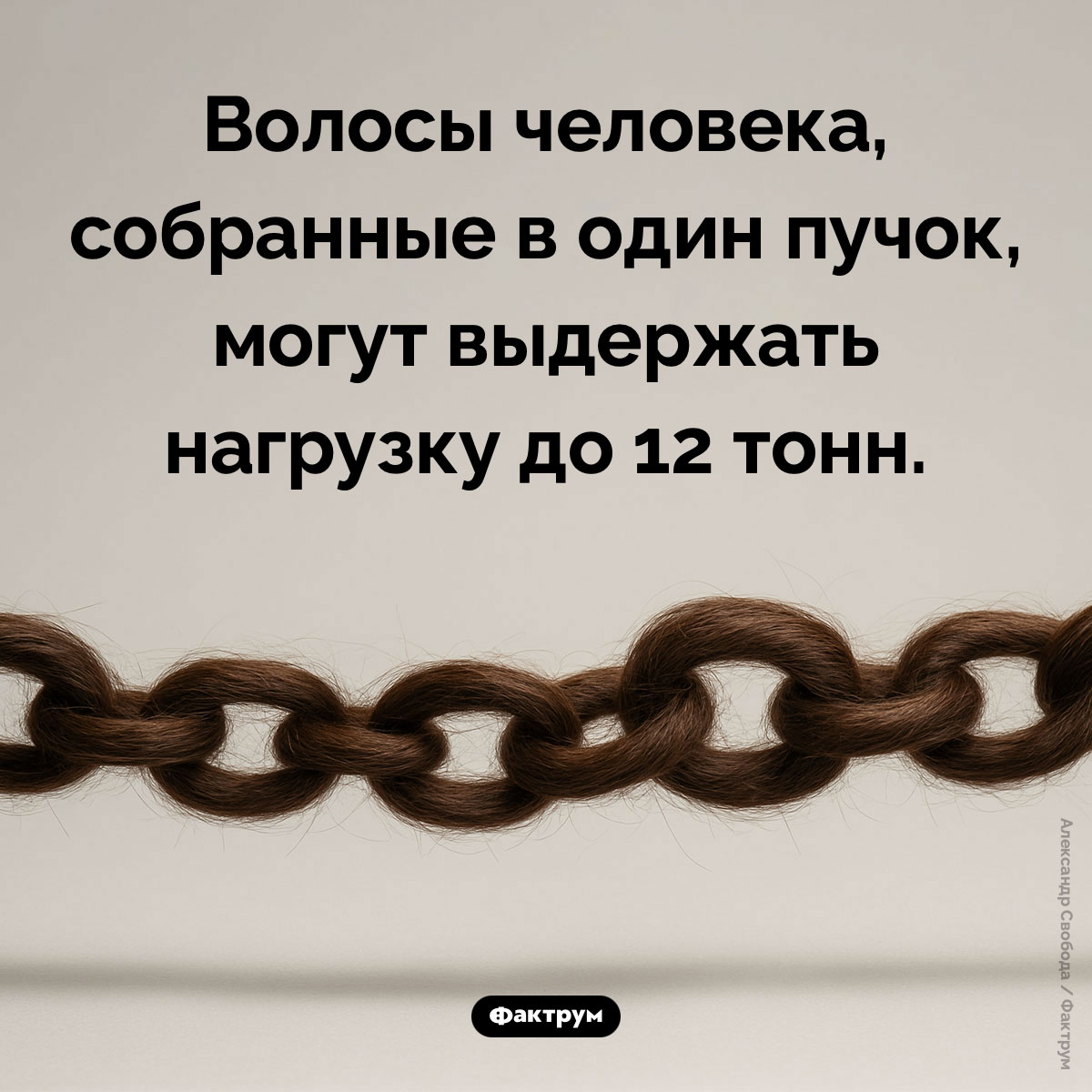 Какой вес могут выдерживать волосы человека