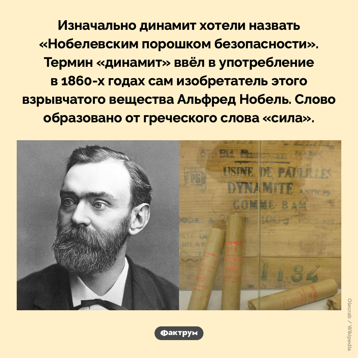 Нобелевский порошок безопасности. Изначально динамит хотели назвать «Нобелевским порошком безопасности». Термин «динамит» ввёл в употребление в 1860-х годах сам изобретатель этого взрывчатого вещества Альфред Нобель. Слово образовано от греческого слова «сила».