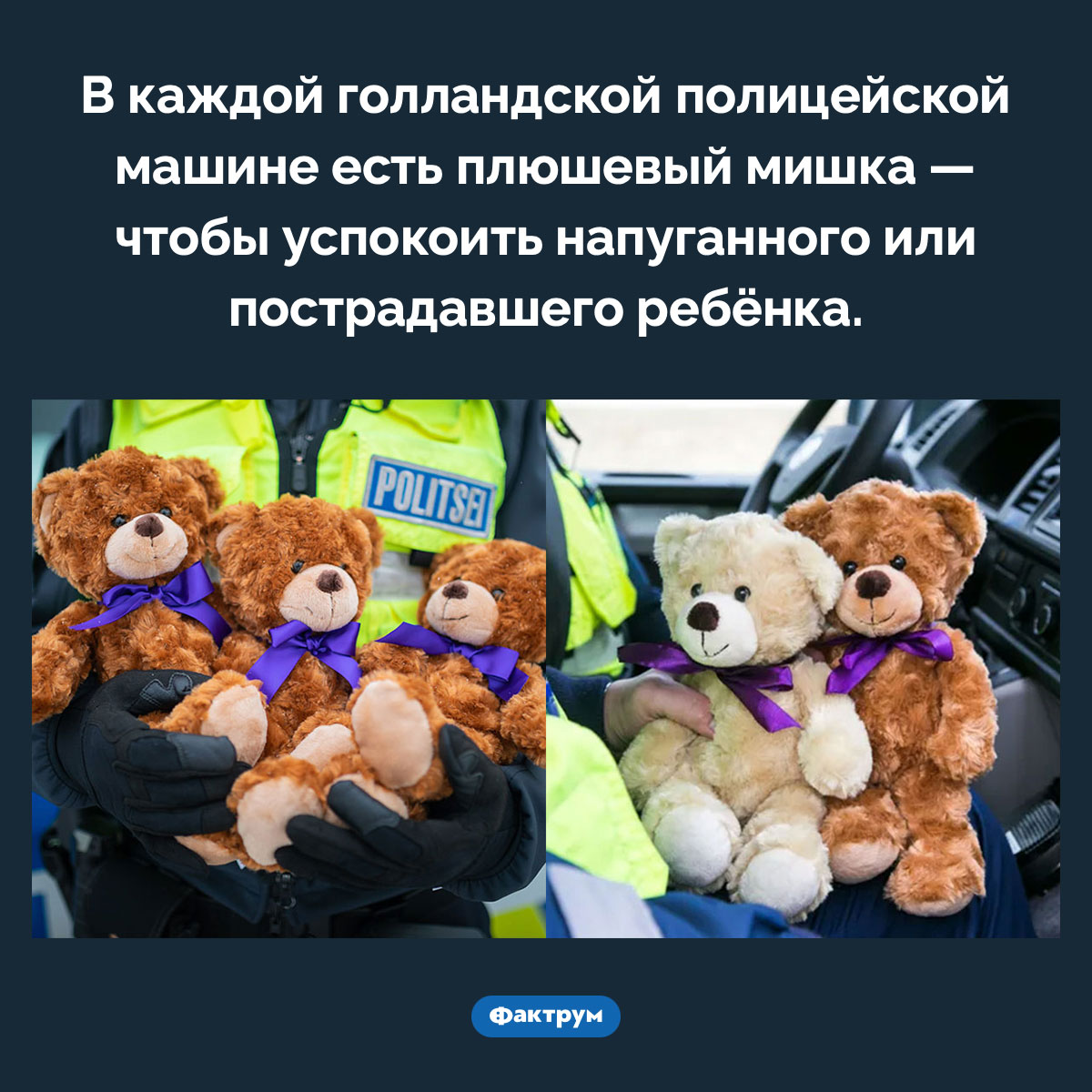 Плюшевый мишка в полицейской машине. В каждой голландской полицейской машине есть плюшевый мишка — чтобы успокоить напуганного или пострадавшего ребёнка.