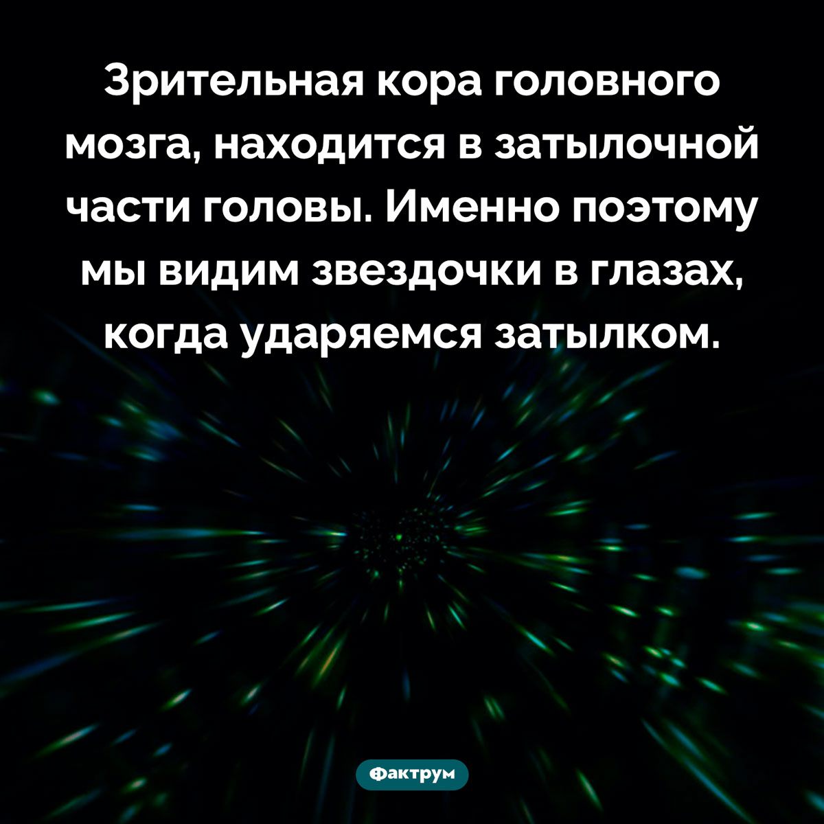 Почему мы видим звездочки в глазах. Зрительная кора головного мозга, находится в затылочной части головы. Именно поэтому мы видим звездочки в глазах, когда ударяемся затылком.