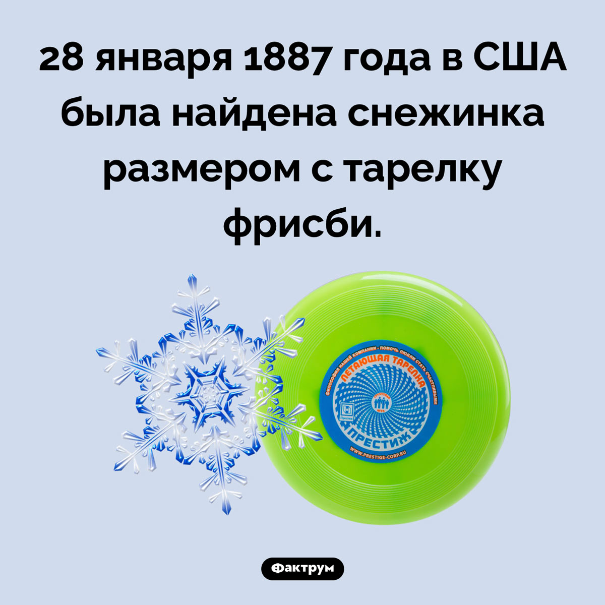 Самая большая снежинка в истории. 28 января 1887 года в США была найдена снежинка размером с тарелку фрисби.