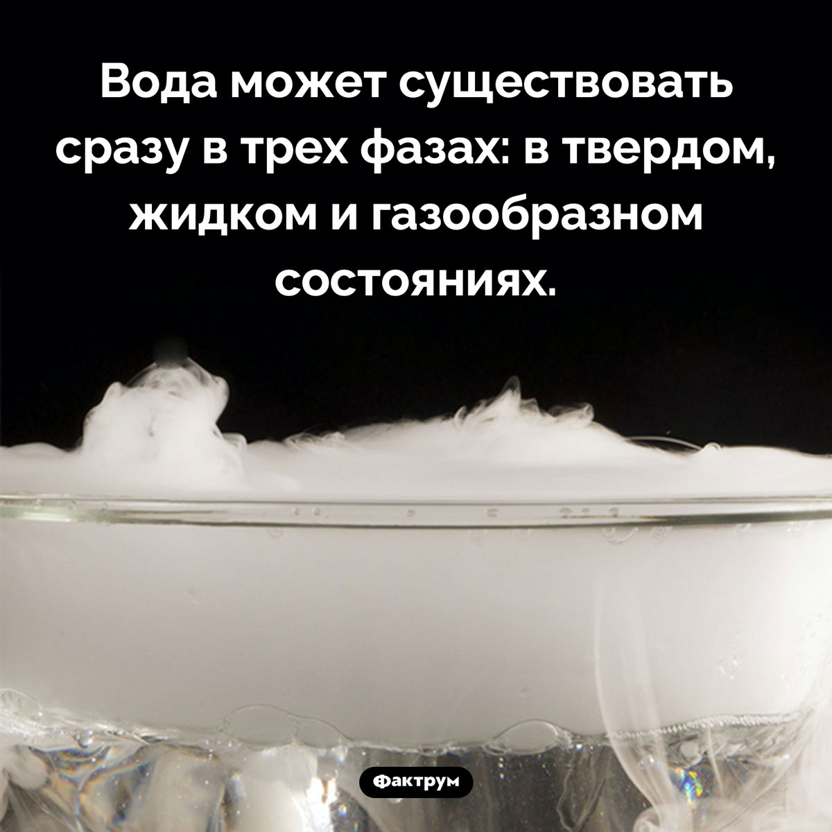 Тройная точка воды. Вода может существовать сразу в трех фазах: в твердом, жидком и газообразном состояниях.