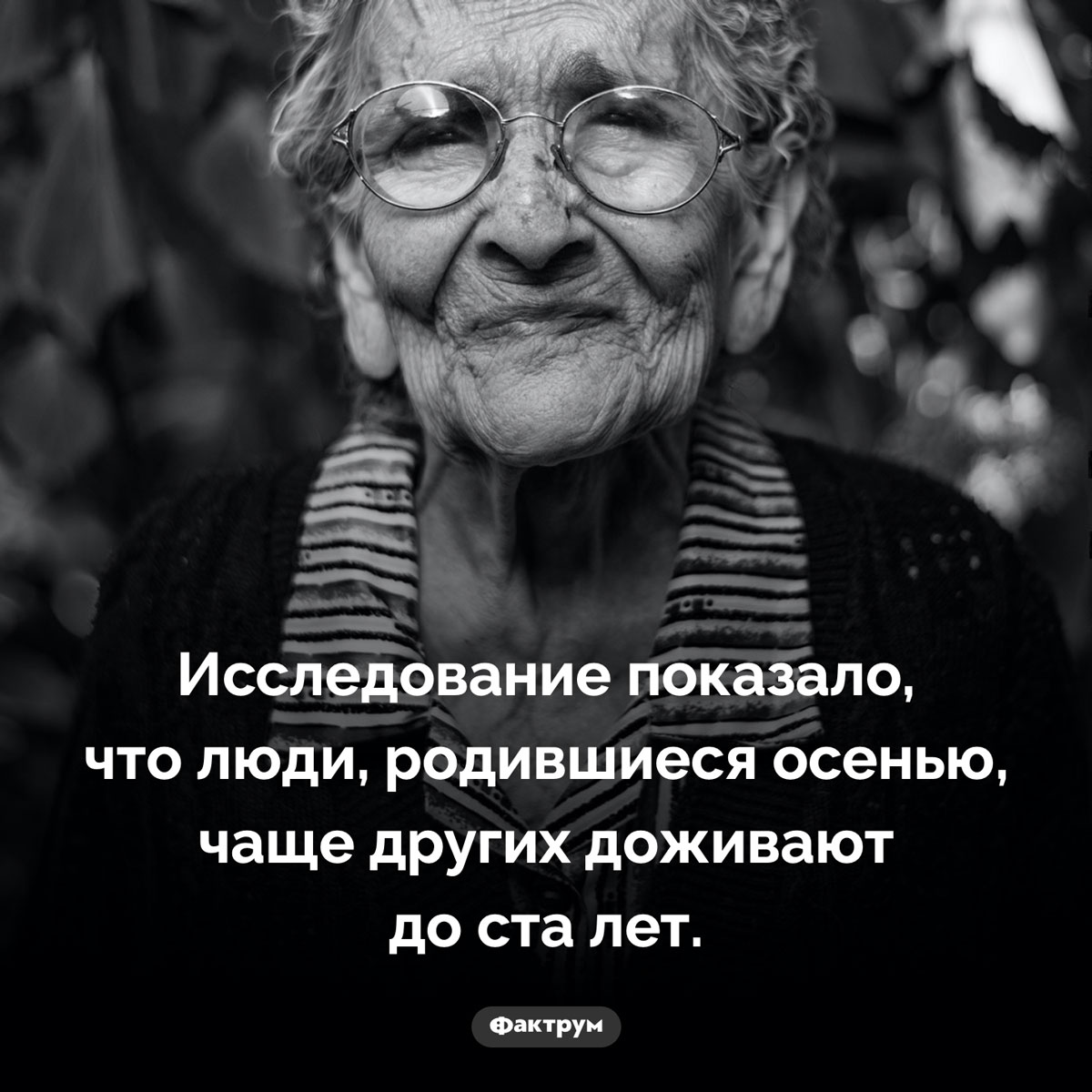 В какое время года рождаются долгожители. Исследование показало, что люди, родившиеся осенью, чаще других доживают до ста лет.