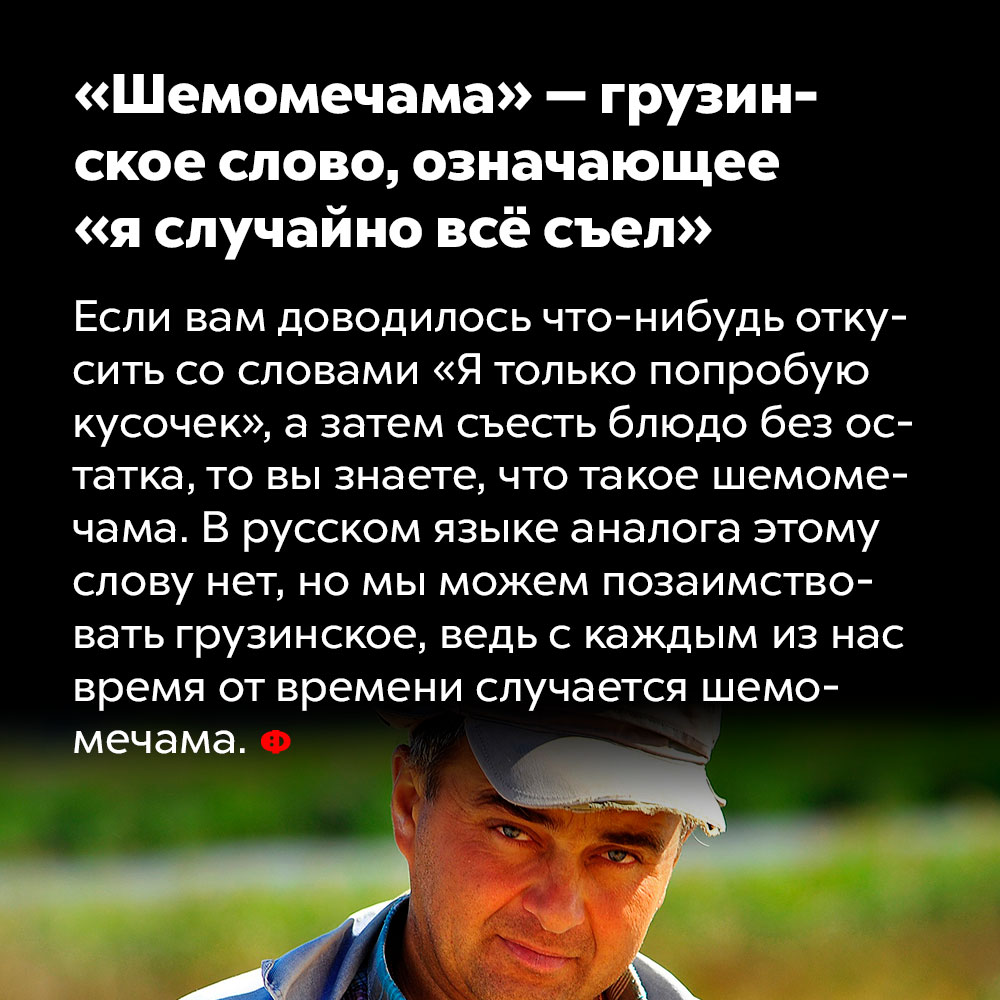 «Шемомечама» — грузинское слово, означающее «я случайно всё съел». Если вам доводилось что-нибудь откусить со словами «Я только попробую кусочек», а затем съесть блюдо без остатка, то вы знаете, что такое «шемомечама». В русском языке аналога этому слову нет, но мы можем позаимствовать грузинское, ведь с каждым время от времени случается шемомечама.