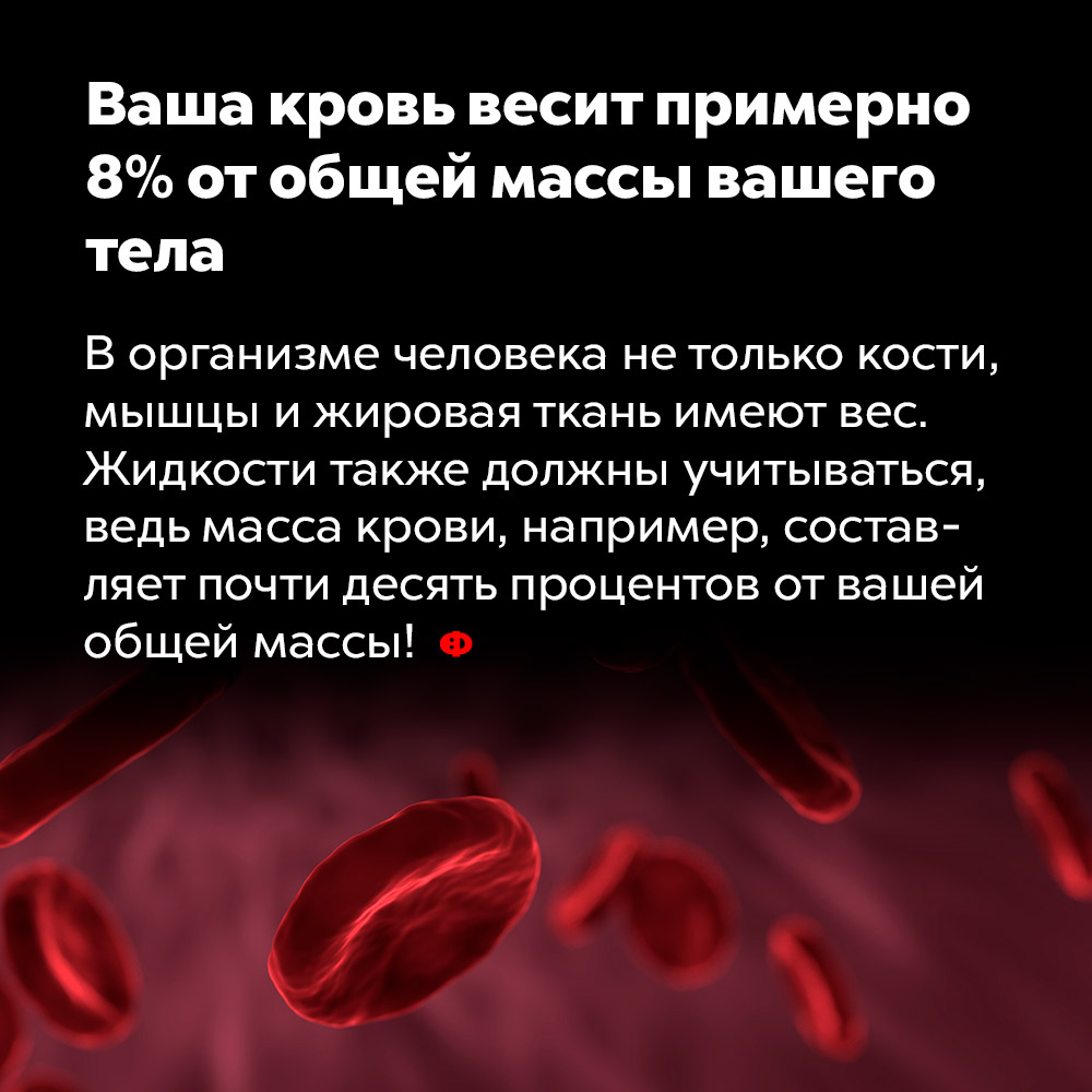 Ваша кровь весит примерно 8% от общей массы вашего тела. В организме человека не только кости, мышцы и жировая ткань имеют вес. Жидкости также должны учитываться, ведь масса крови, например, составляет почти десять процентов от вашей общей массы!