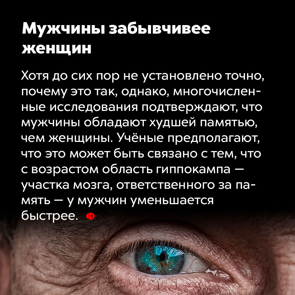 Мужчины забывчивее женщин. Хотя до сих пор не установлено точно, почему это так, однако многочисленные исследования подтверждают, что мужчины обладают худшей памятью, чем женщины. Учёные предполагают, что это может быть связано с тем, что с возрастом область гиппокампа — участка мозга, ответственного за память — у мужчин уменьшается быстрее.