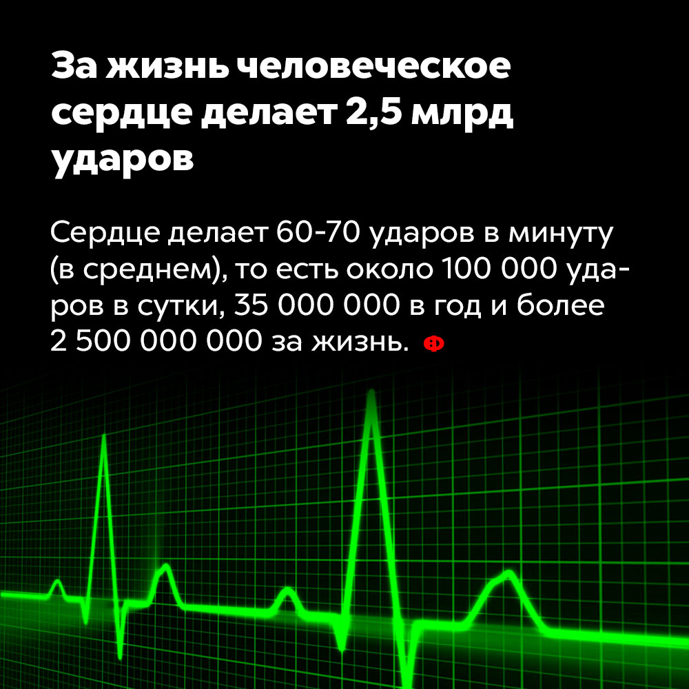 За жизнь человеческое сердце делает 2,5 млрд ударов. Сердце делает 60-70 ударов в минуту (в среднем), то есть около 100 000 ударов в сутки, 35 000 000 в год и более 2 500 000 000 за жизнь.