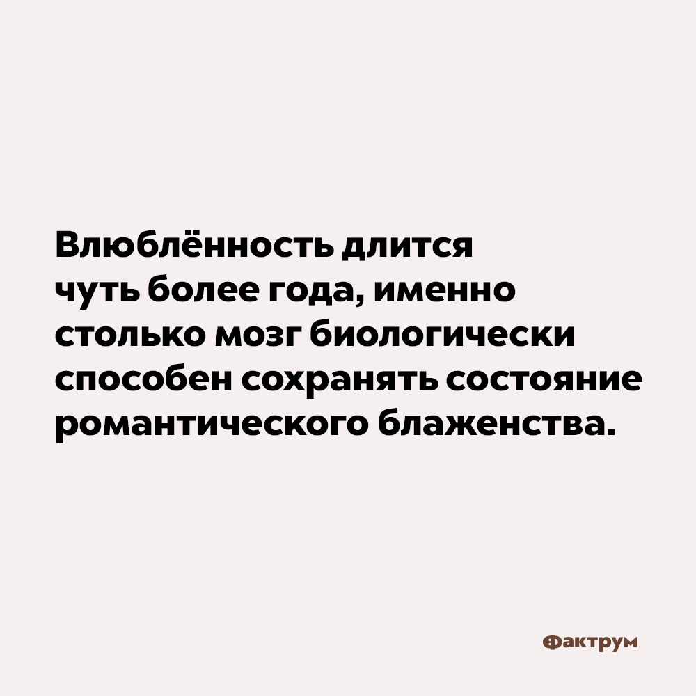 Влюблённость длится чуть более года. Именно столько мозг биологически способен сохранять состояние романтического блаженства.