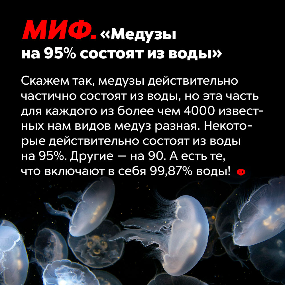 МИФ: «Медузы на 95% состоят из воды». Скажем так, медузы действительно частично состоят из воды, но эта часть для каждого из более чем 4000 известных нам видов медуз разная. Некоторые действительно состоят из воды на 95%. Другие — на 90%. А есть те, что включают в себя 99,87% воды!
