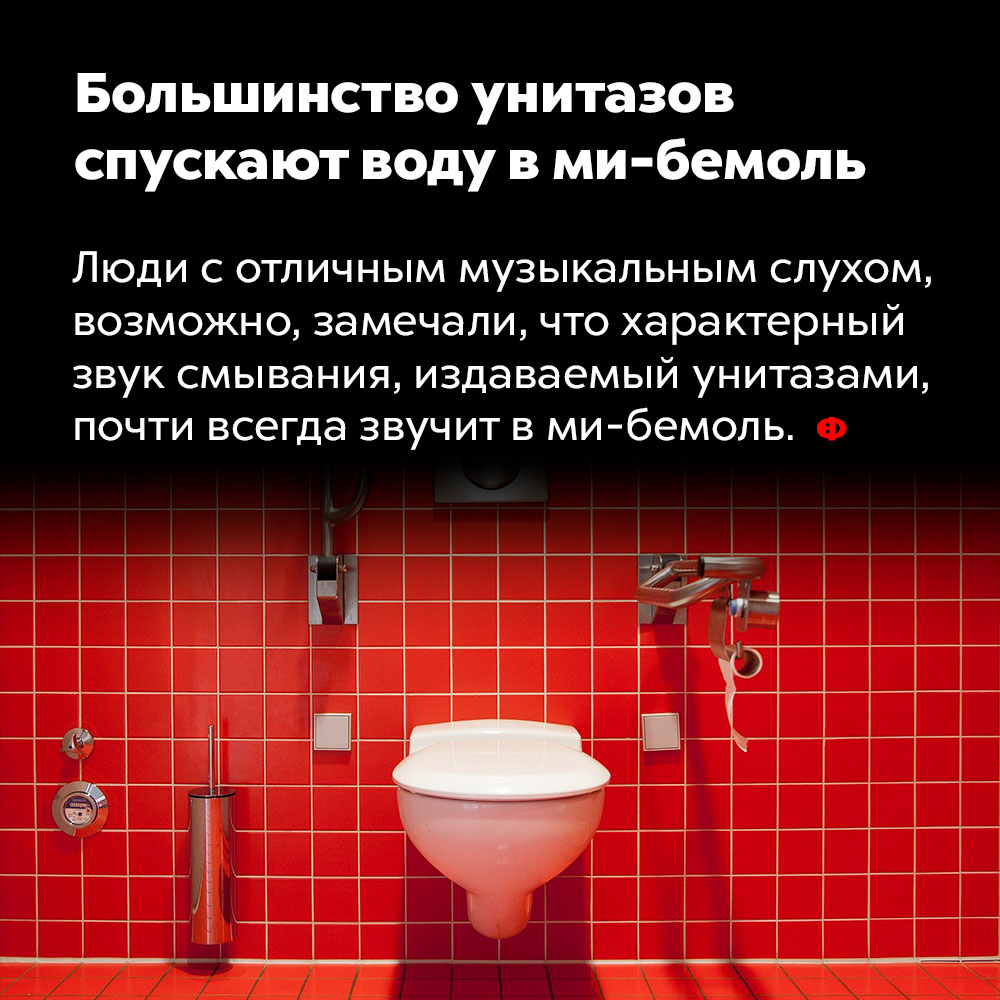 Большинство унитазов спускают воду в ми-бемоль. Люди с отличным музыкальным слухом, возможно, замечали, что характерный звук смывания, издаваемый унитазами, почти всегда звучит в ми-бемоль.