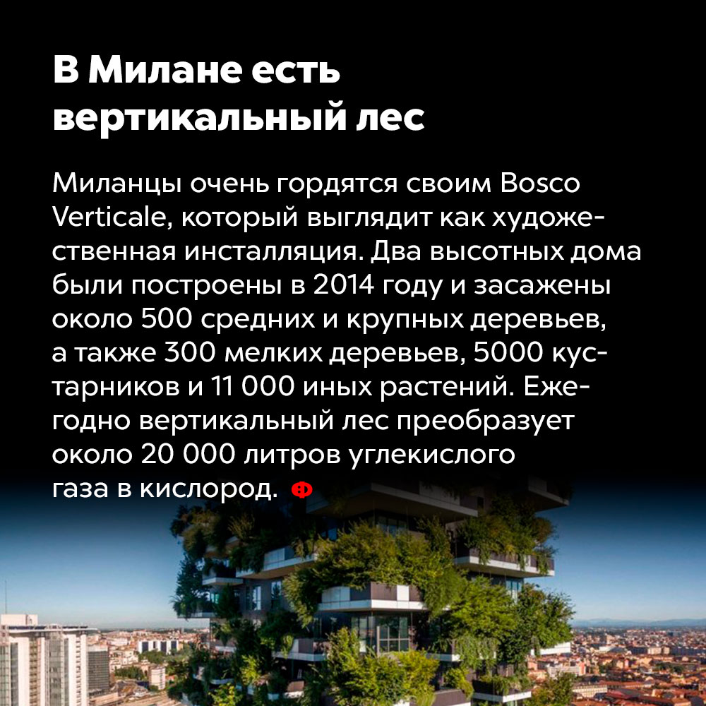 В Милане есть вертикальный лес. Миланцы очень гордятся своим Bosco Verticale, который выглядит как художественная инсталляция. Два высотных холма были построены в 2014 году и засажены 500 средних и крупных деревьев, а также 300 мелких деревьев, 5000 кустарников и 11000 иных растений. Ежегодно вертикальный лес преобразует около 20 000 литров углекислого газа в кислород.