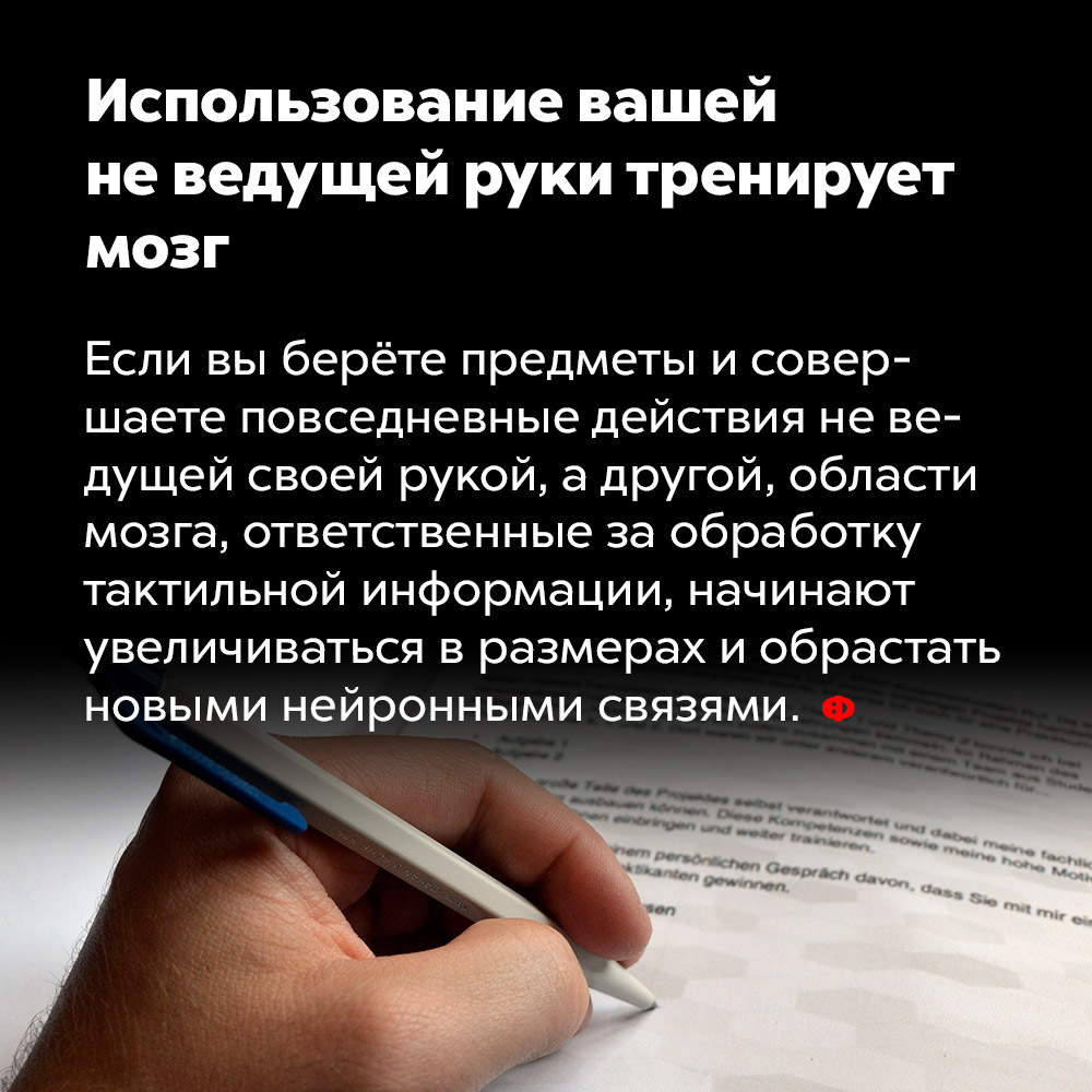 Использование вашей не ведущей руки тренирует мозг. Если вы берёте предметы и совершаете повседневные действия не ведущей своей рукой, а другой, области мозга, ответственные за обработку тактильной информации, начинают увеличиваться в размерах и обрастать новыми нейронными связями.