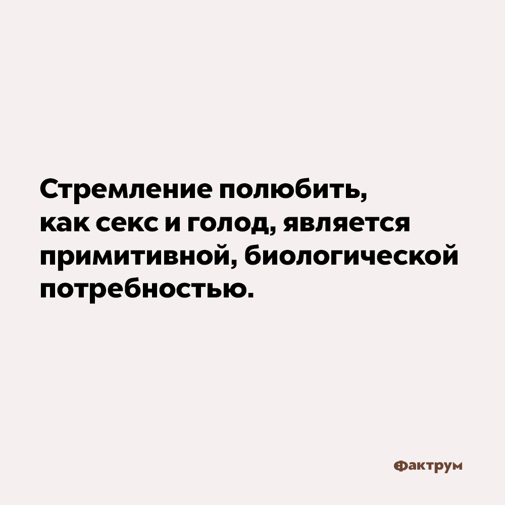 Стремление полюбить является примитивной биологической потребностью. Стремление полюбить, как секс и голод, является примитивной биологической потребностью.