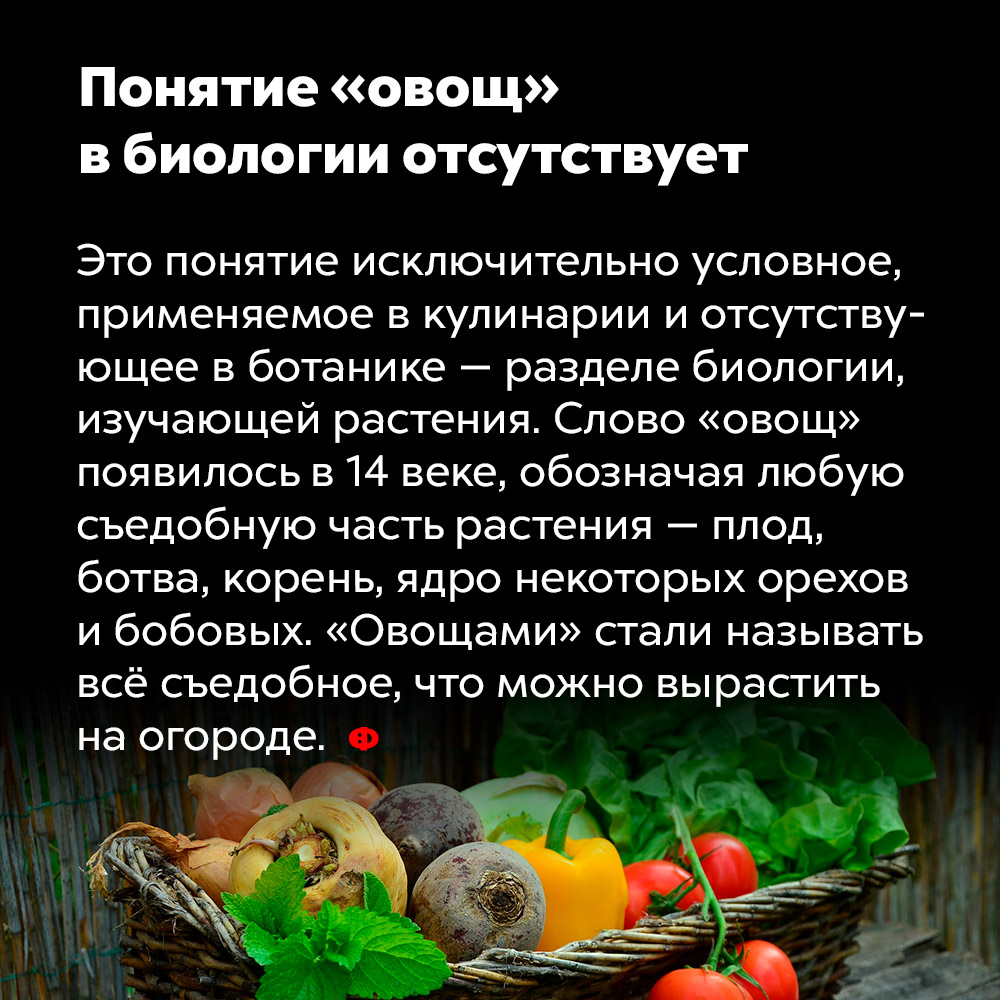 Понятие «овощ» в биологии отсутствует. Это понятие исключительно условное, применяемое к кулинарии и отсутствующее в ботанике — разделе биологии, изучающим растения. Слово «овощ» появилось в 14 веке, обозначая любую съедобную часть растения — плод, ботва, корень, ядро некоторых орехов и бобовых. «Овощами» стали называть всё съедобное, что можно вырастить на огороде.