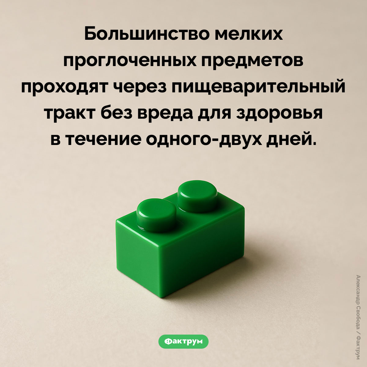 Что происходит с проглоченными предметами