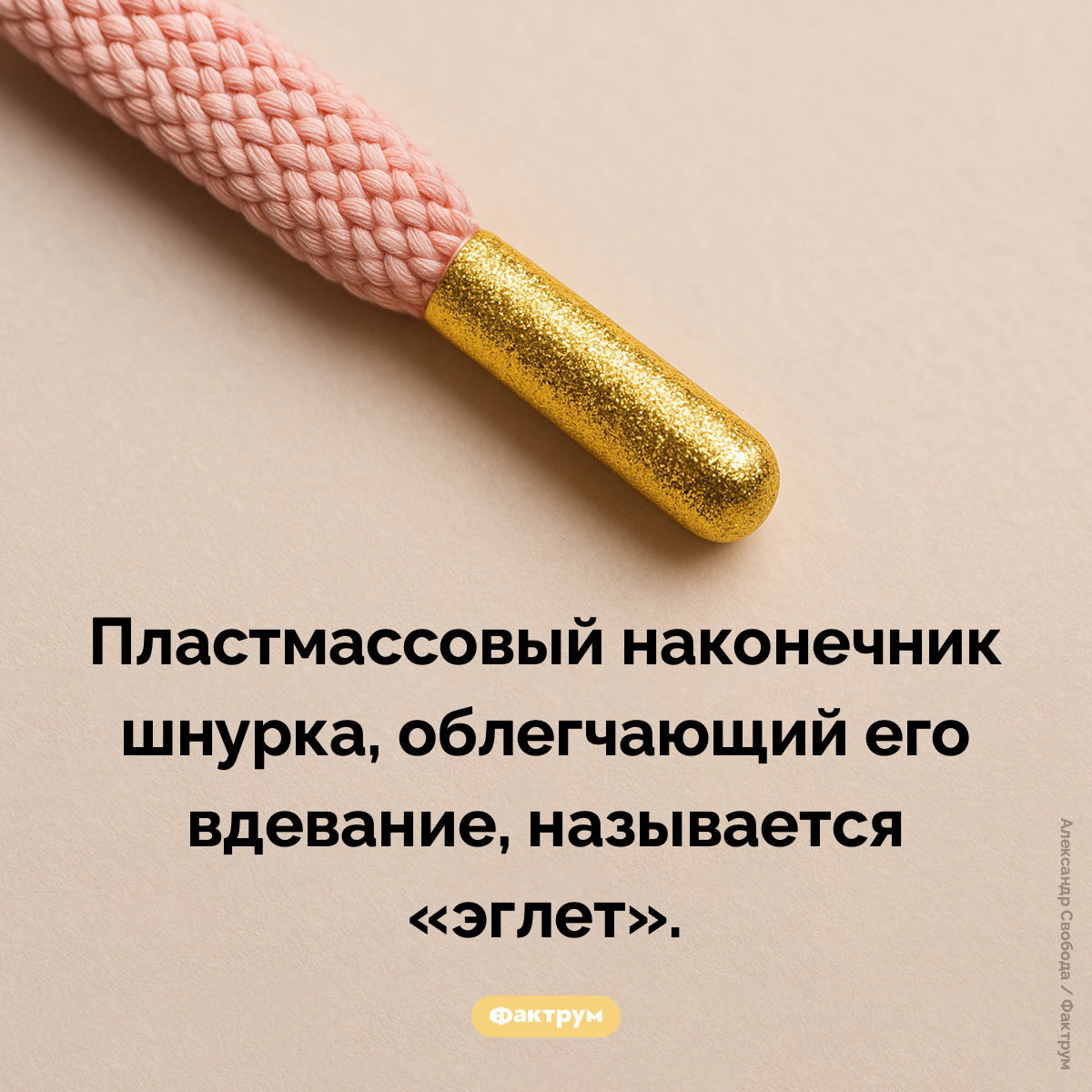 Что такое «эглет». Пластмассовый наконечник шнурка, облегчающий его вдевание, называется «эглет».